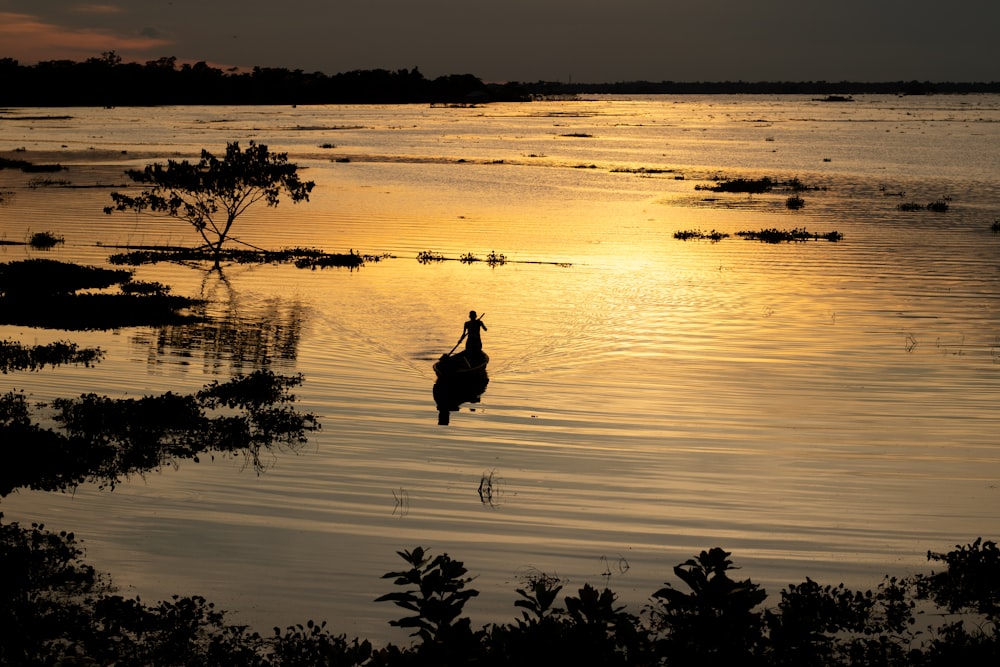 a person riding a bird in a body of water