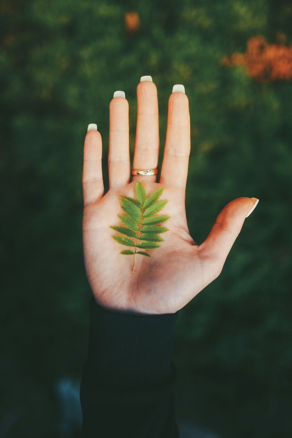 a person's hand with a green leaf on it