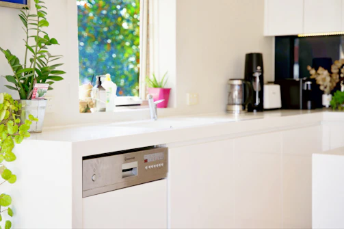 A modern kitchen countertop with a sleek dishwasher and fresh vegetables nearby
