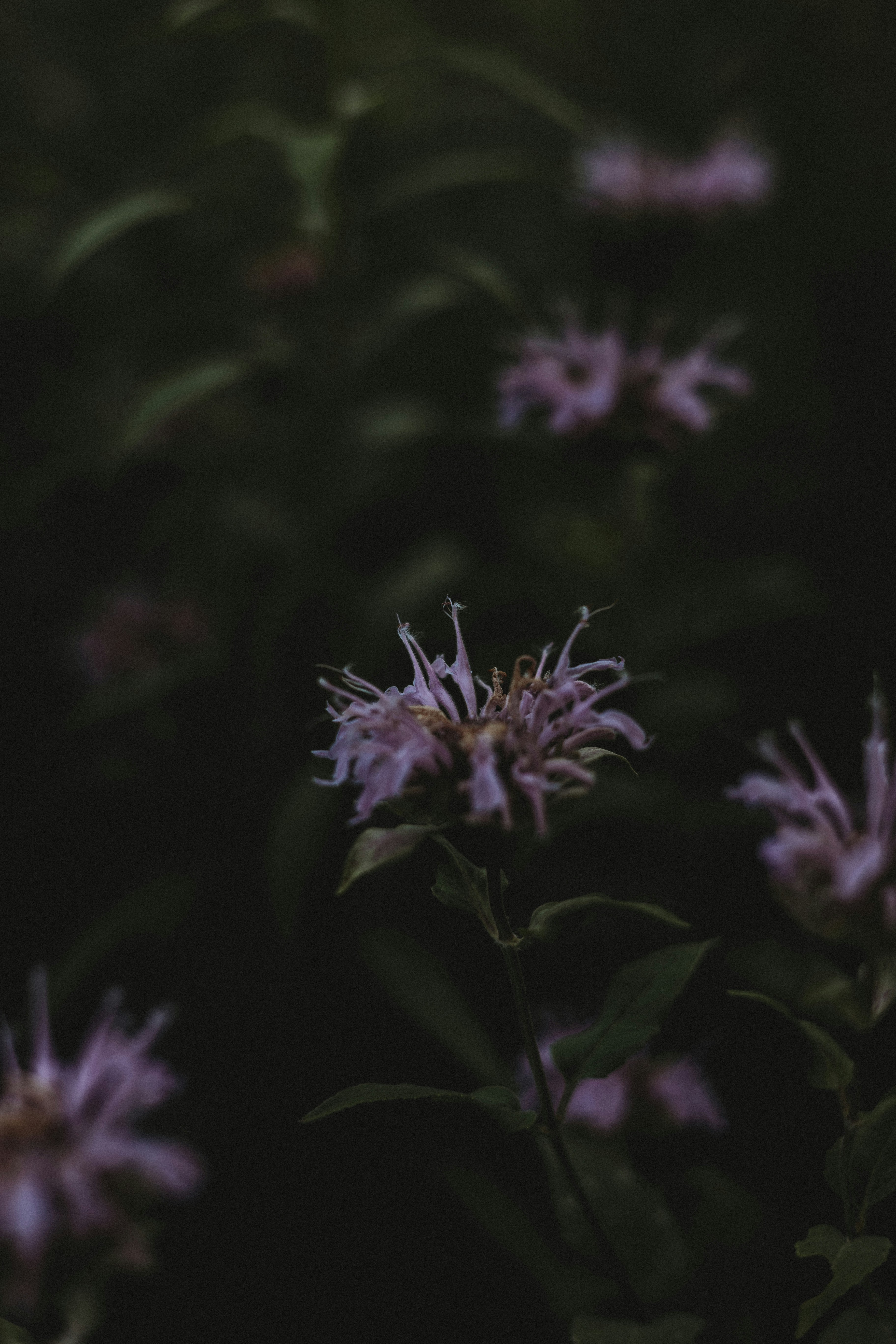 Photo by sallywilliams