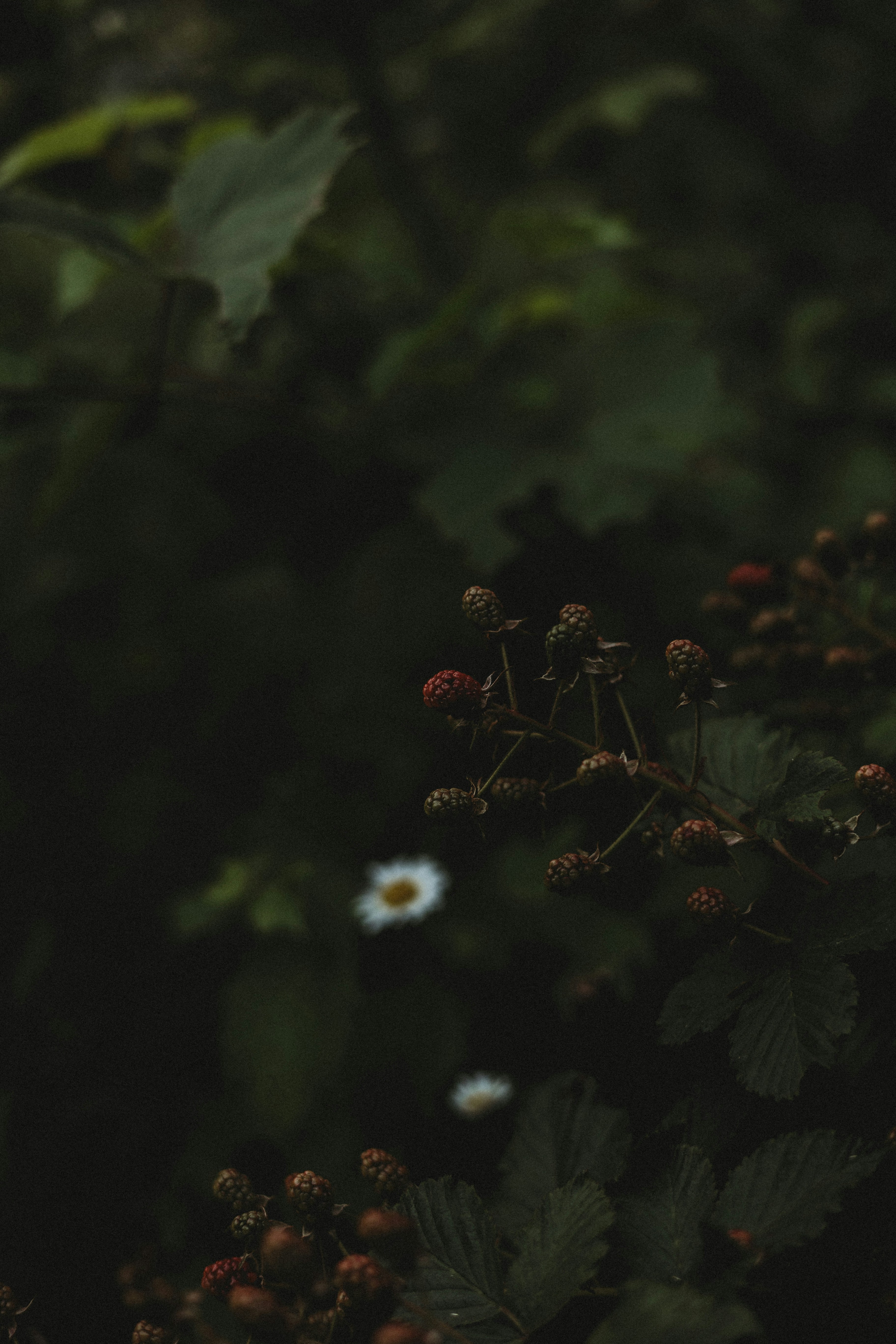 Photo by sallywilliams