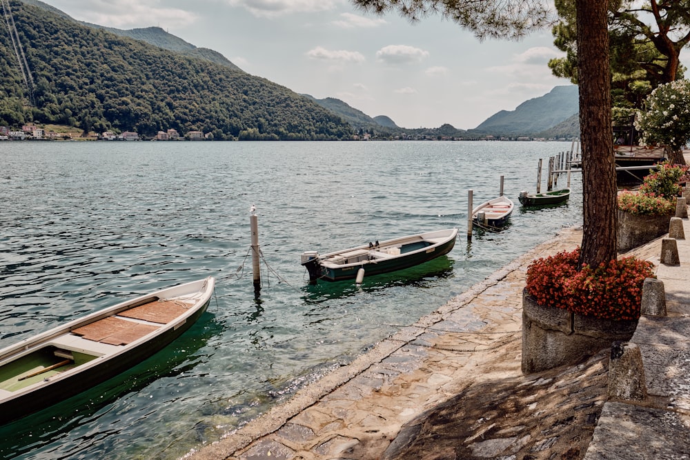 a couple of boats that are sitting in the water