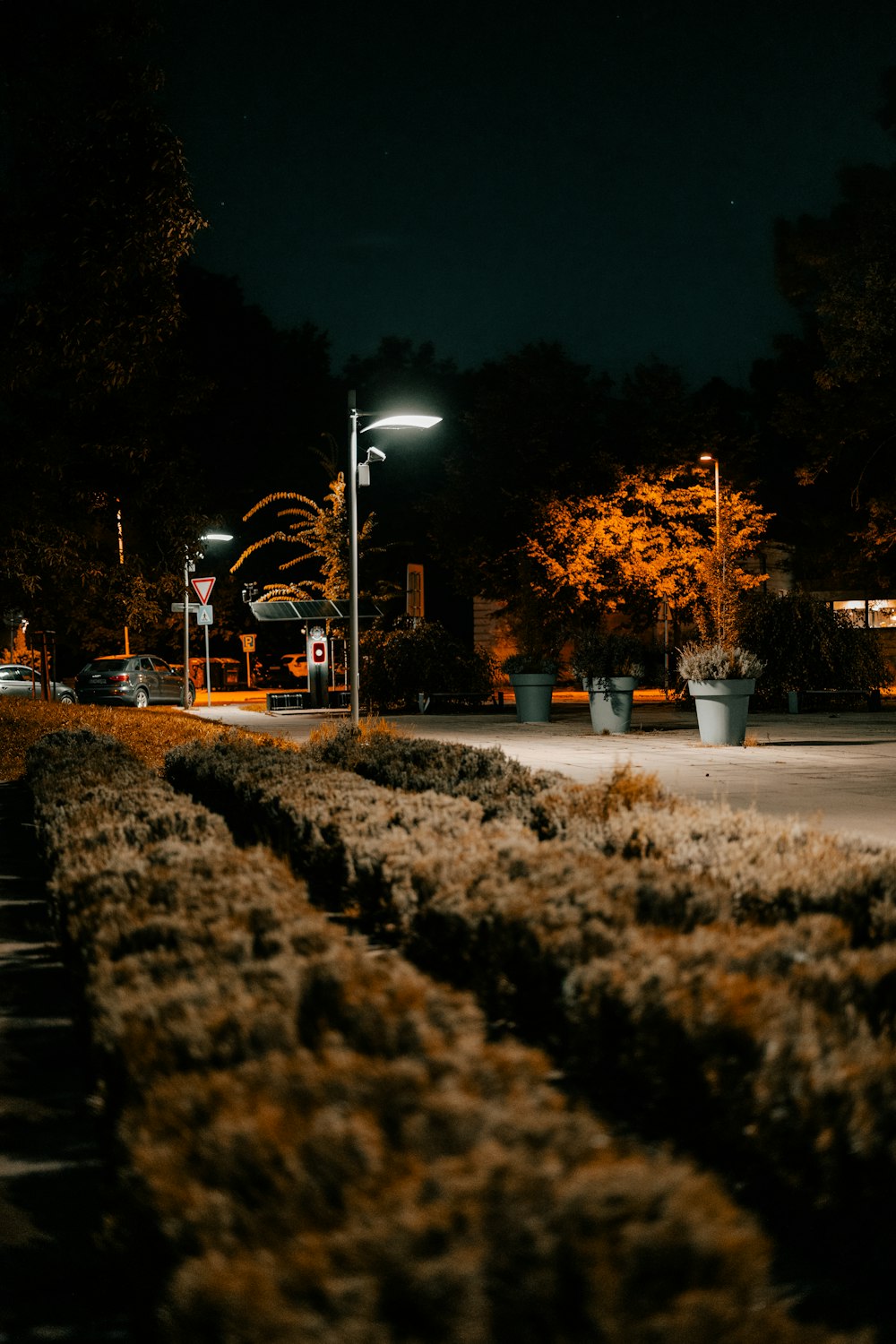 Una strada di notte con un lampione sullo sfondo