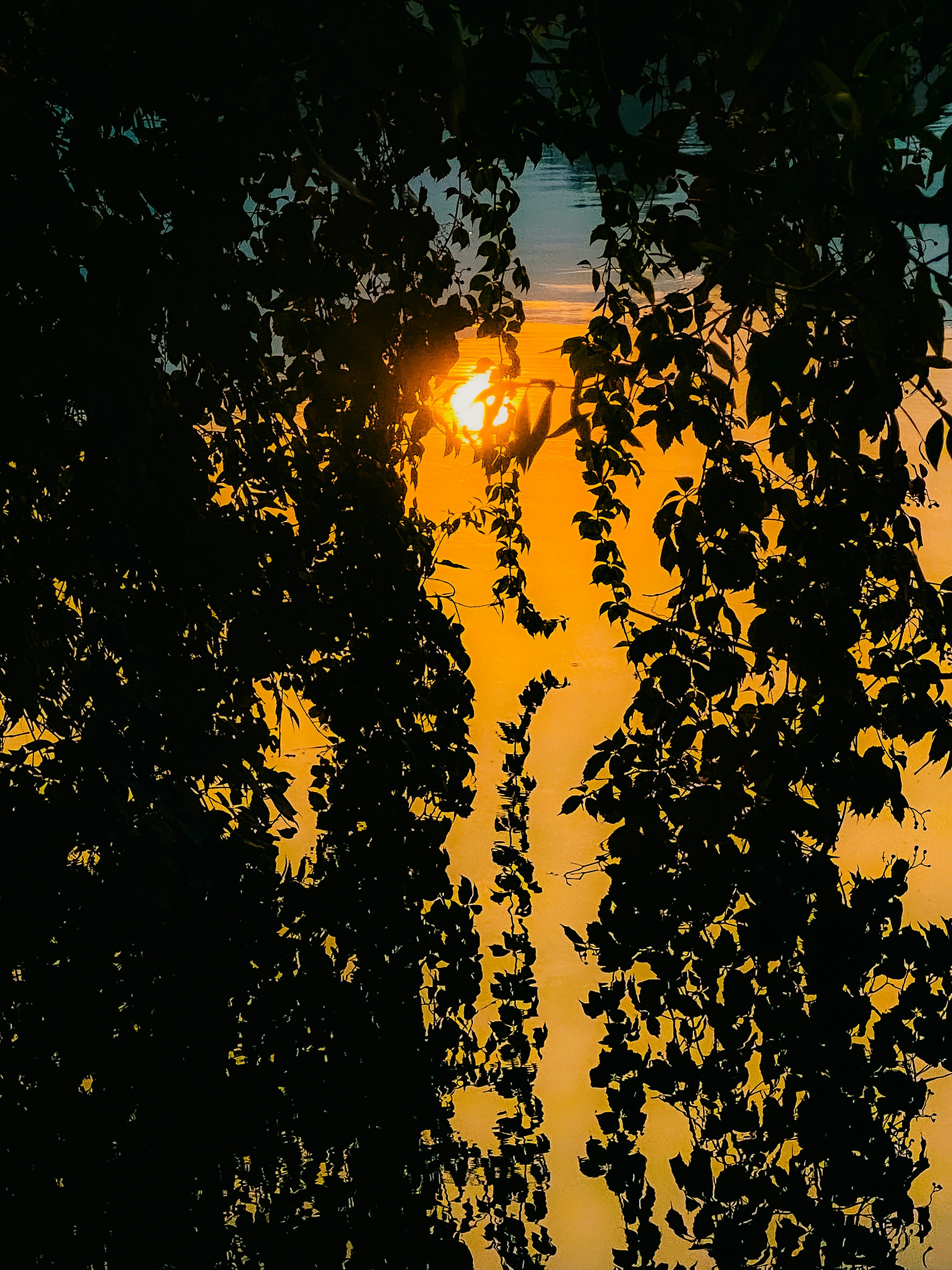 Photo by evanastasia