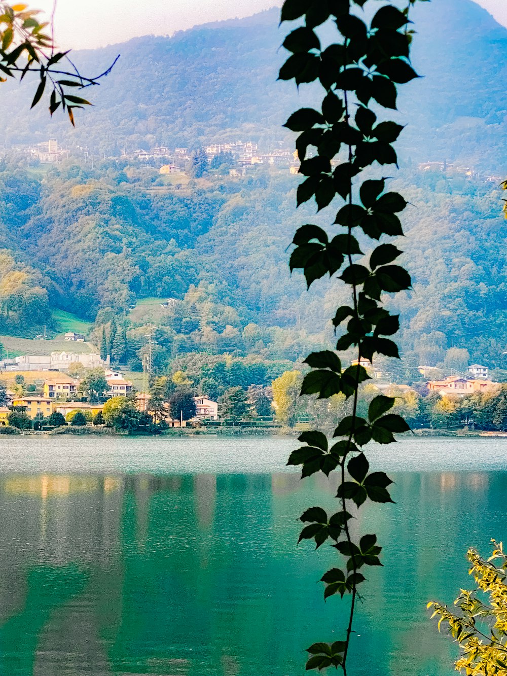 a body of water surrounded by a lush green hillside