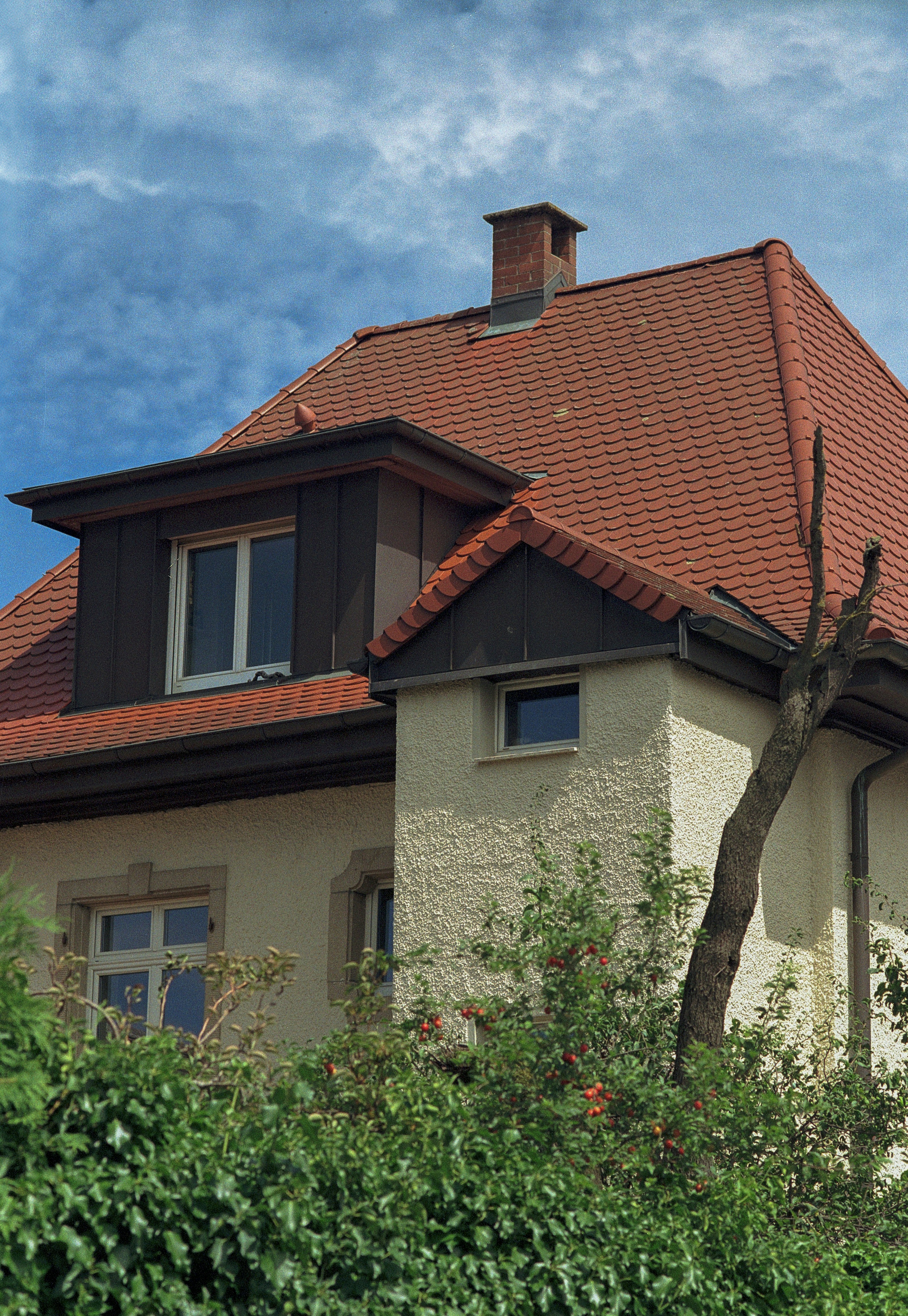 Photo by artistseyes