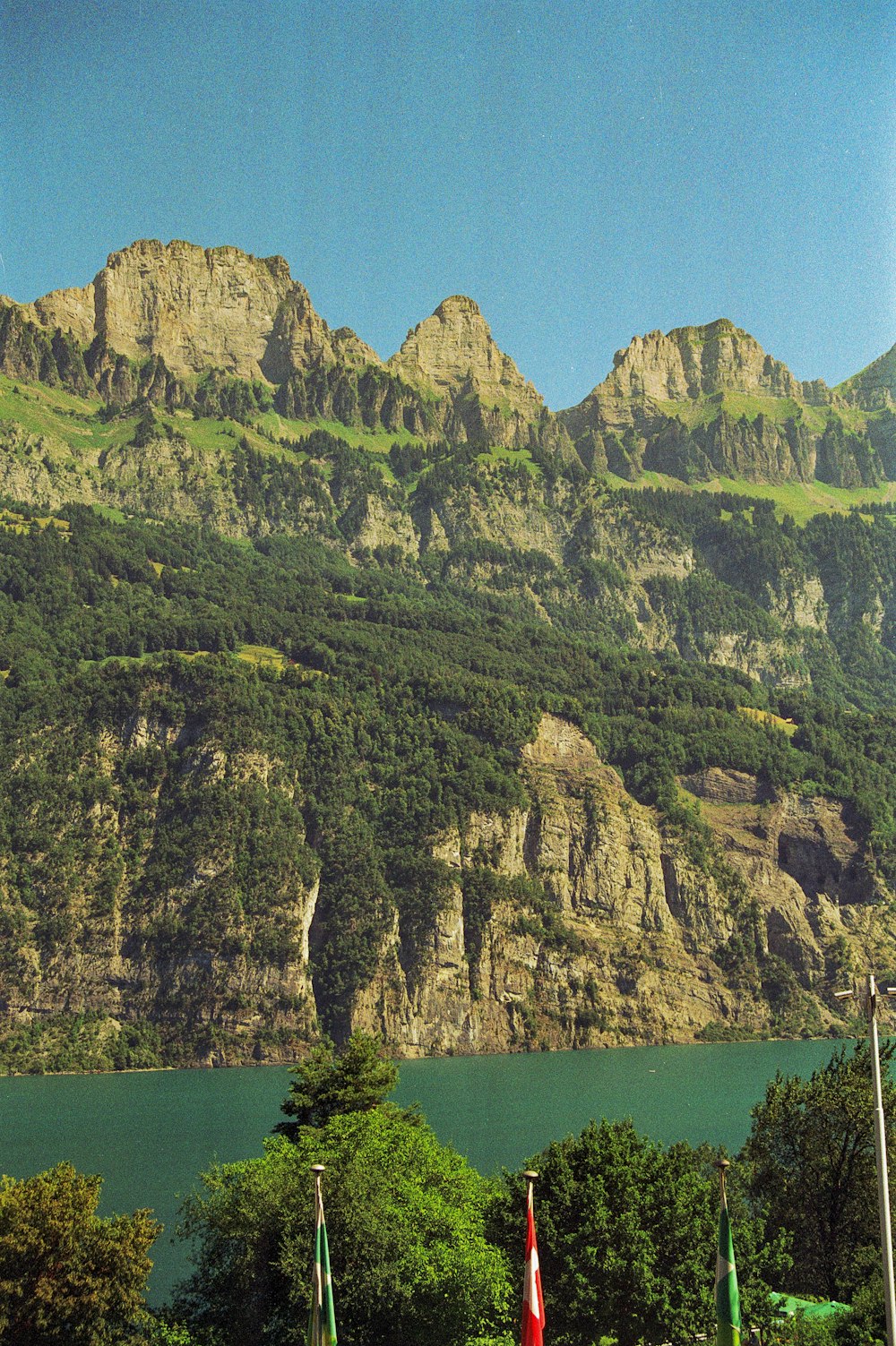 a group of people standing on top of a lush green hillside