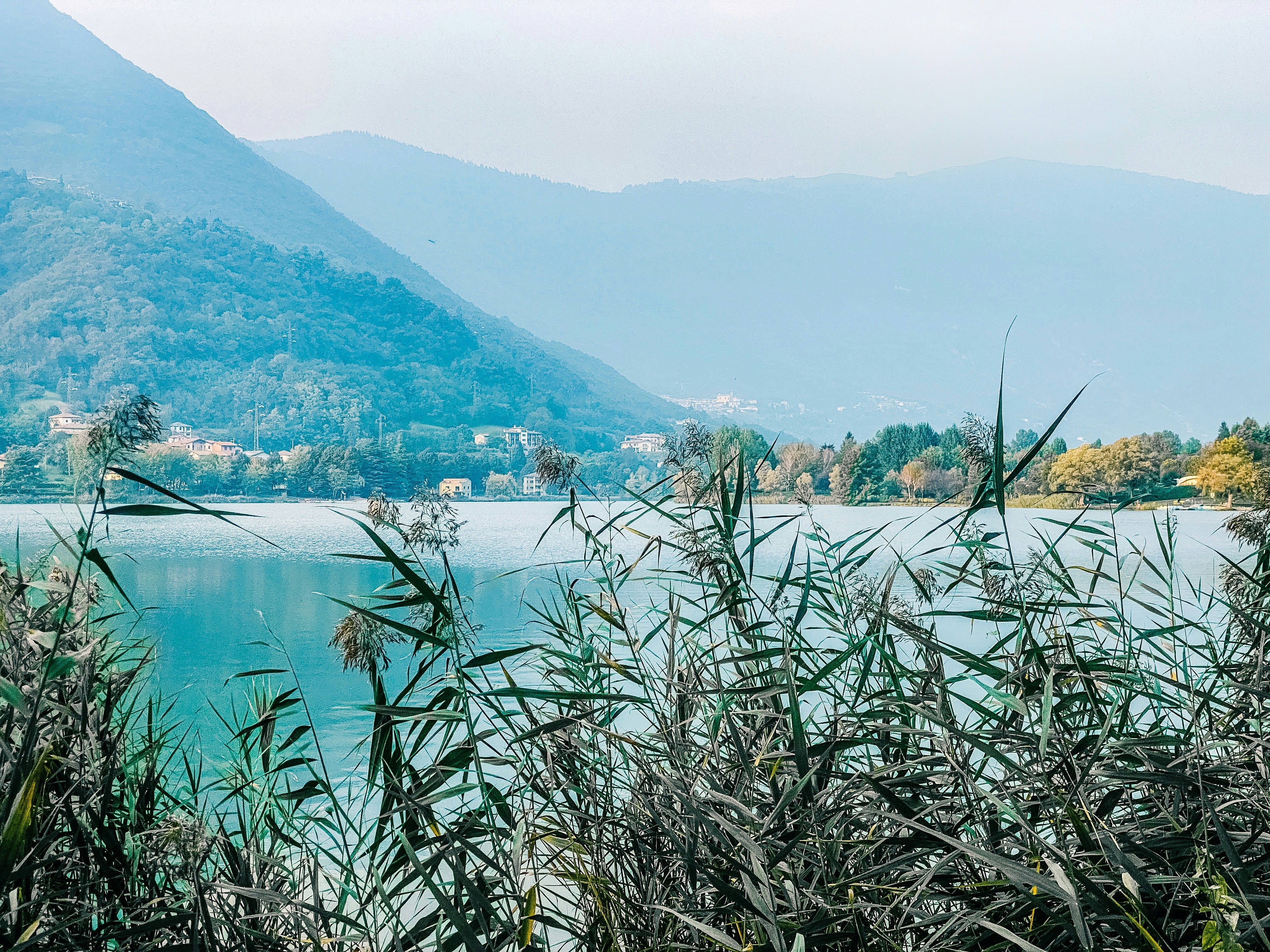 Photo by evanastasia