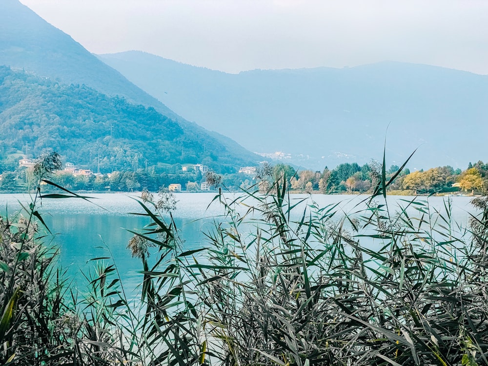 a body of water surrounded by mountains and trees