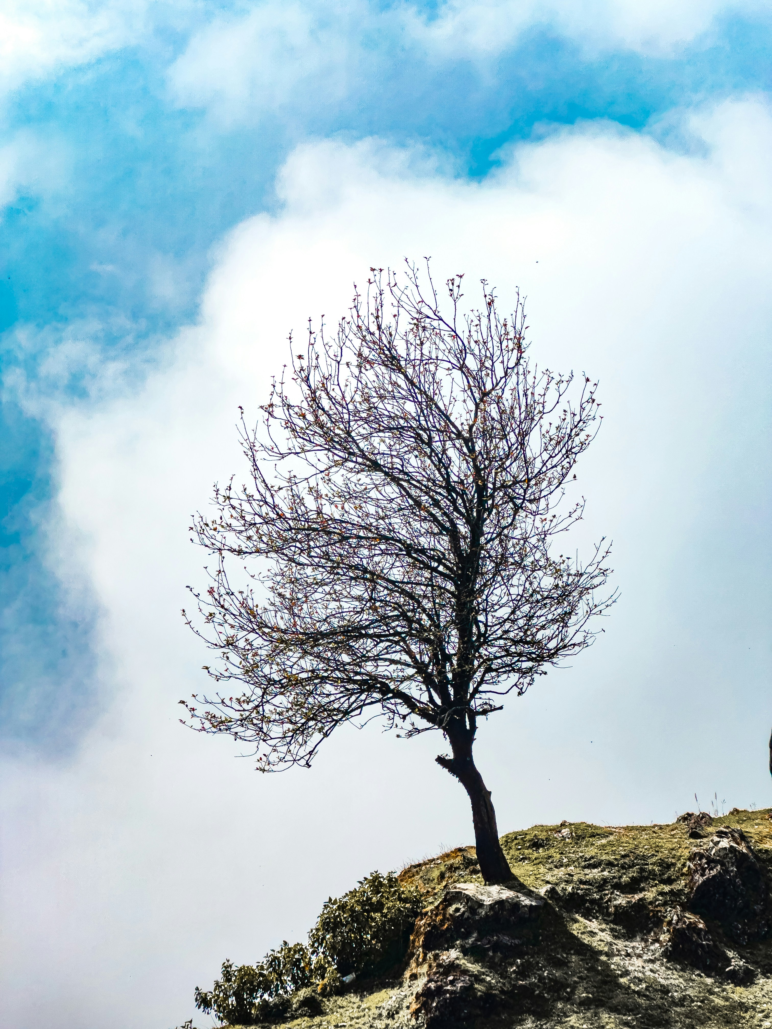 Photo by beingrahuul