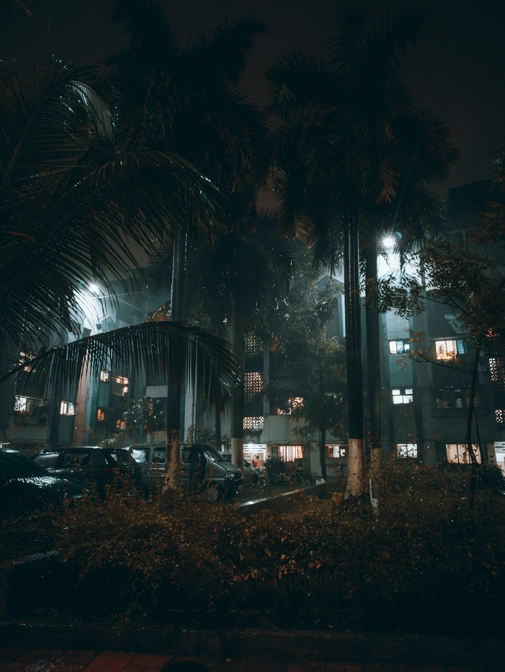 a night scene of a building with palm trees in the foreground