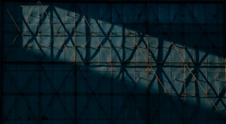 Subtle shadow play on a black matte wall with geometric patterns inspired by African art motifs.