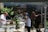 A group of people are engaged in cooking, surrounded by green plants and brick walls. Some are preparing food at a counter with pots and ingredients, while one person is operating a rotating grill. The atmosphere is casual and cooperative, with sunlight filtering through the space.