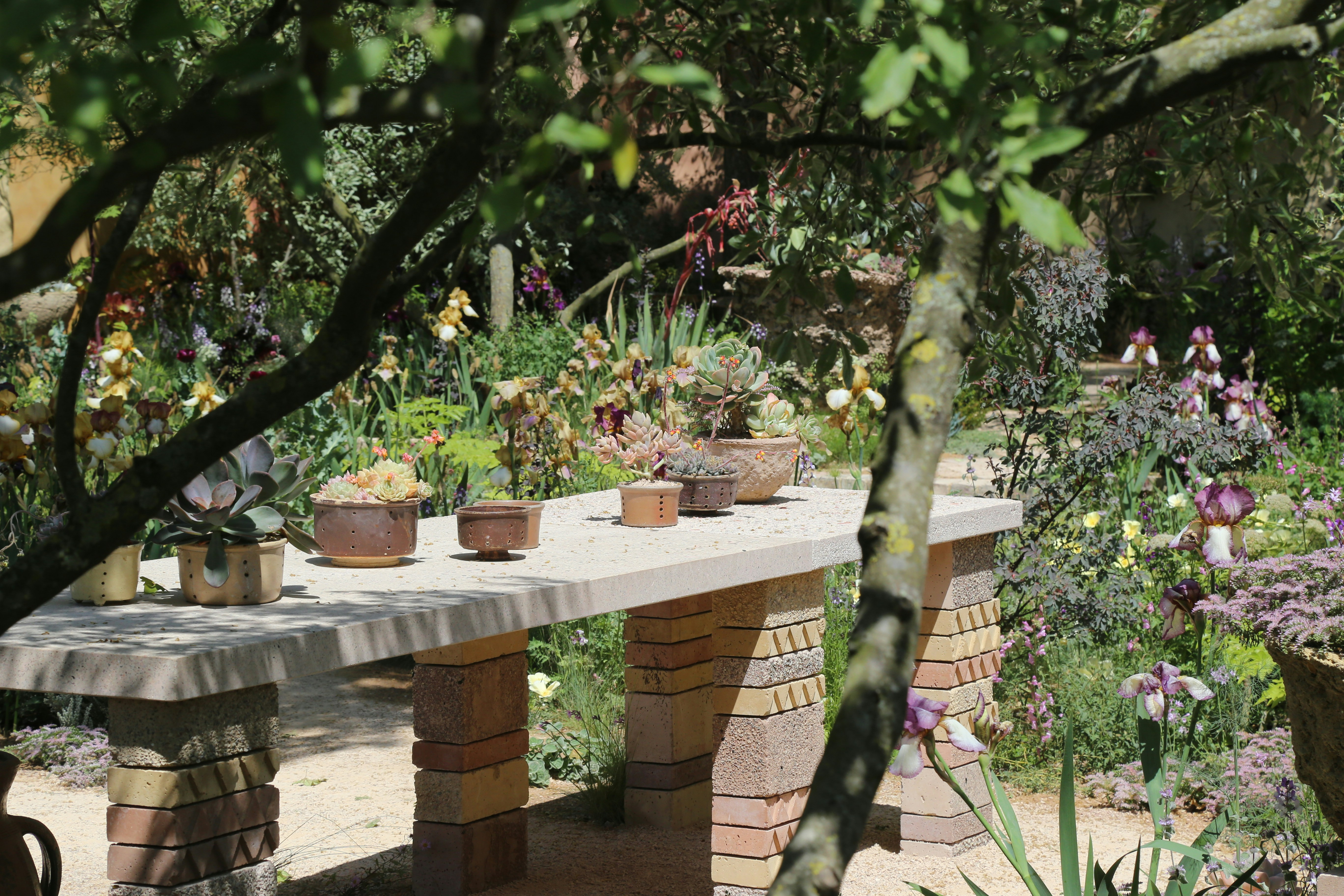 Photo by kelseyfarish