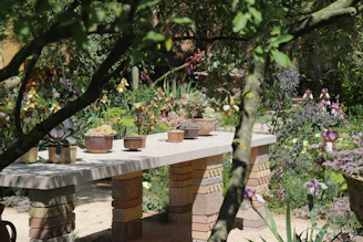 A vibrant garden scene featuring fresh plants and gardening tools arranged invitingly on a wooden table.
