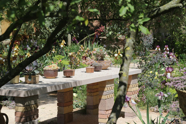 A vibrant garden scene featuring fresh plants and gardening tools arranged invitingly on a wooden table.