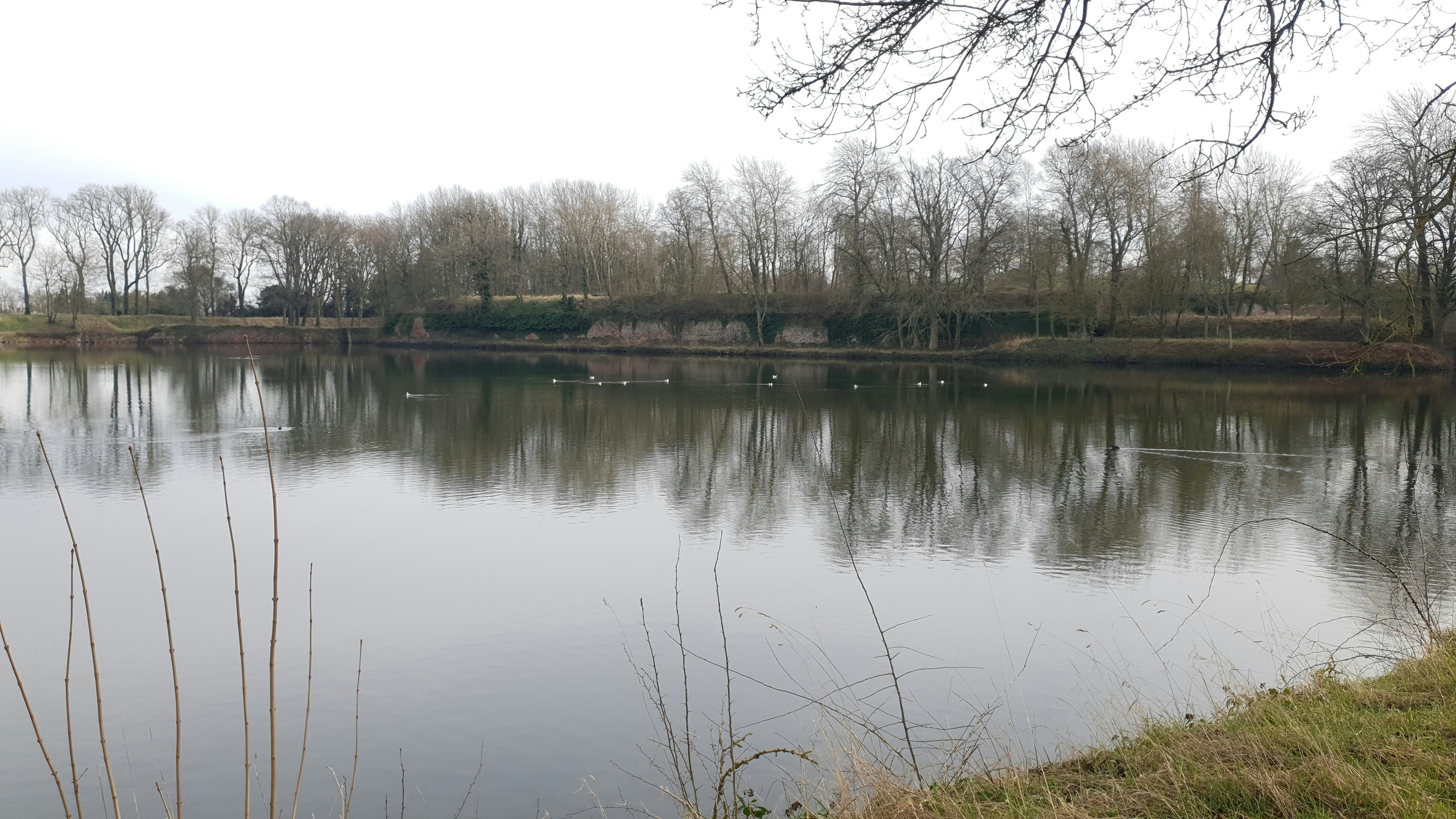 Photo by xd_studio_creation