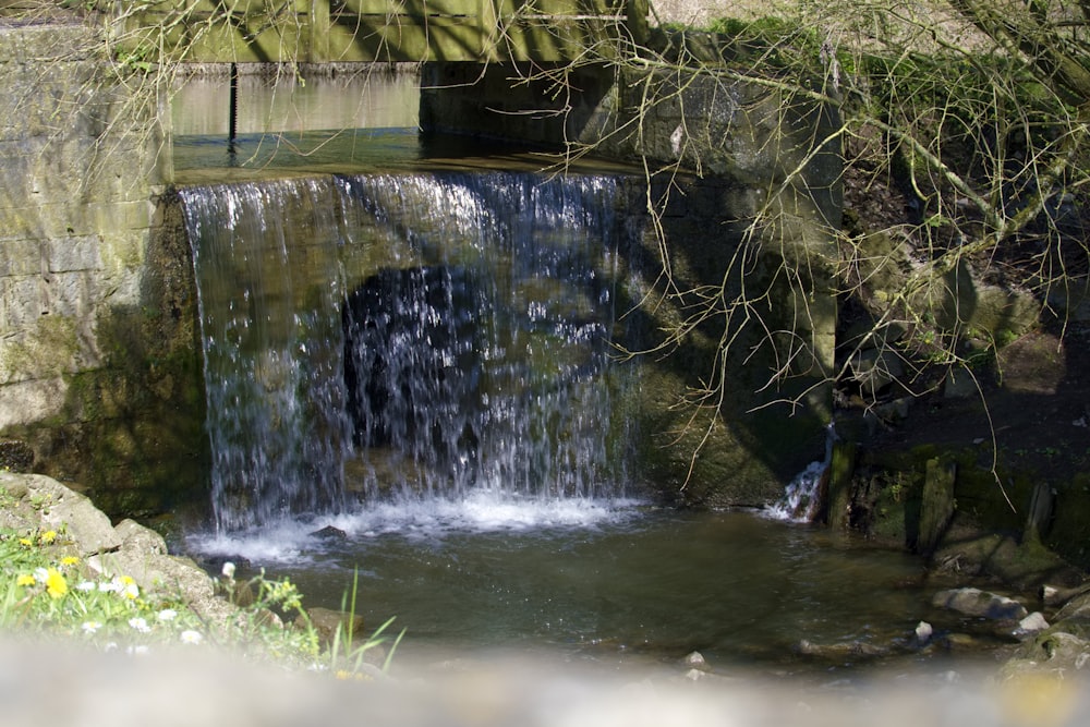 a small waterfall with a dog in the water