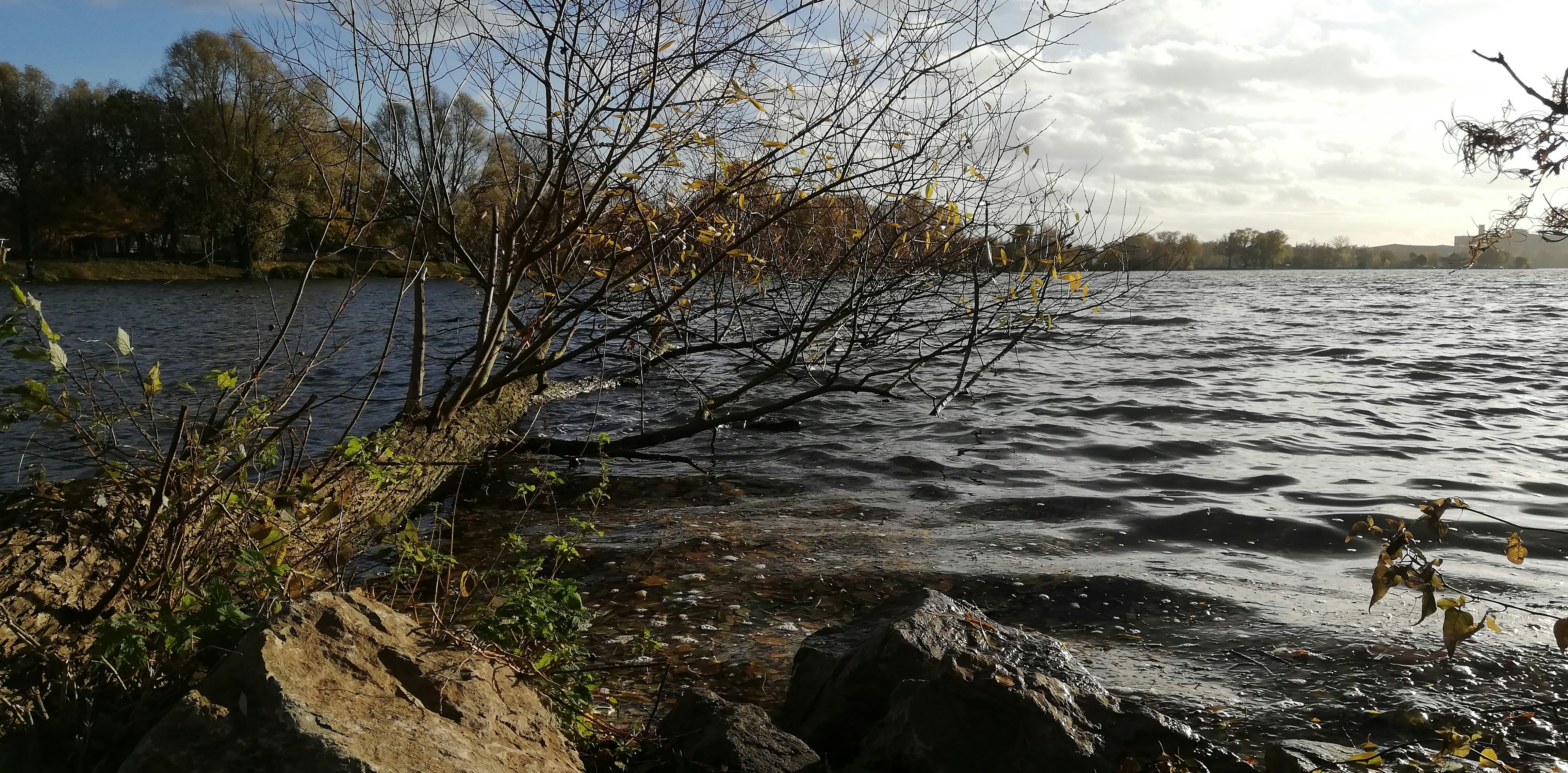 Photo by xd_studio_creation