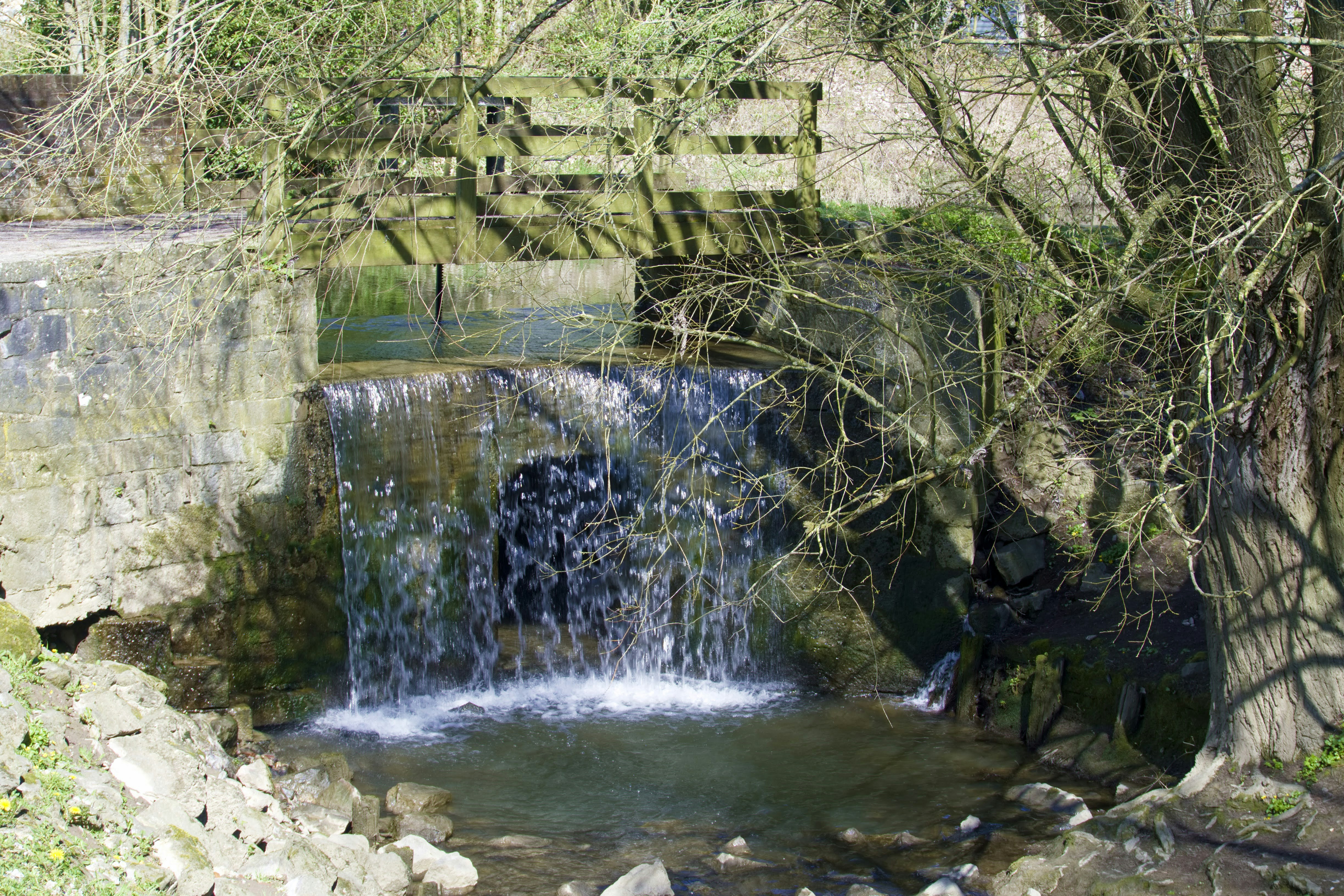 Photo by xd_studio_creation