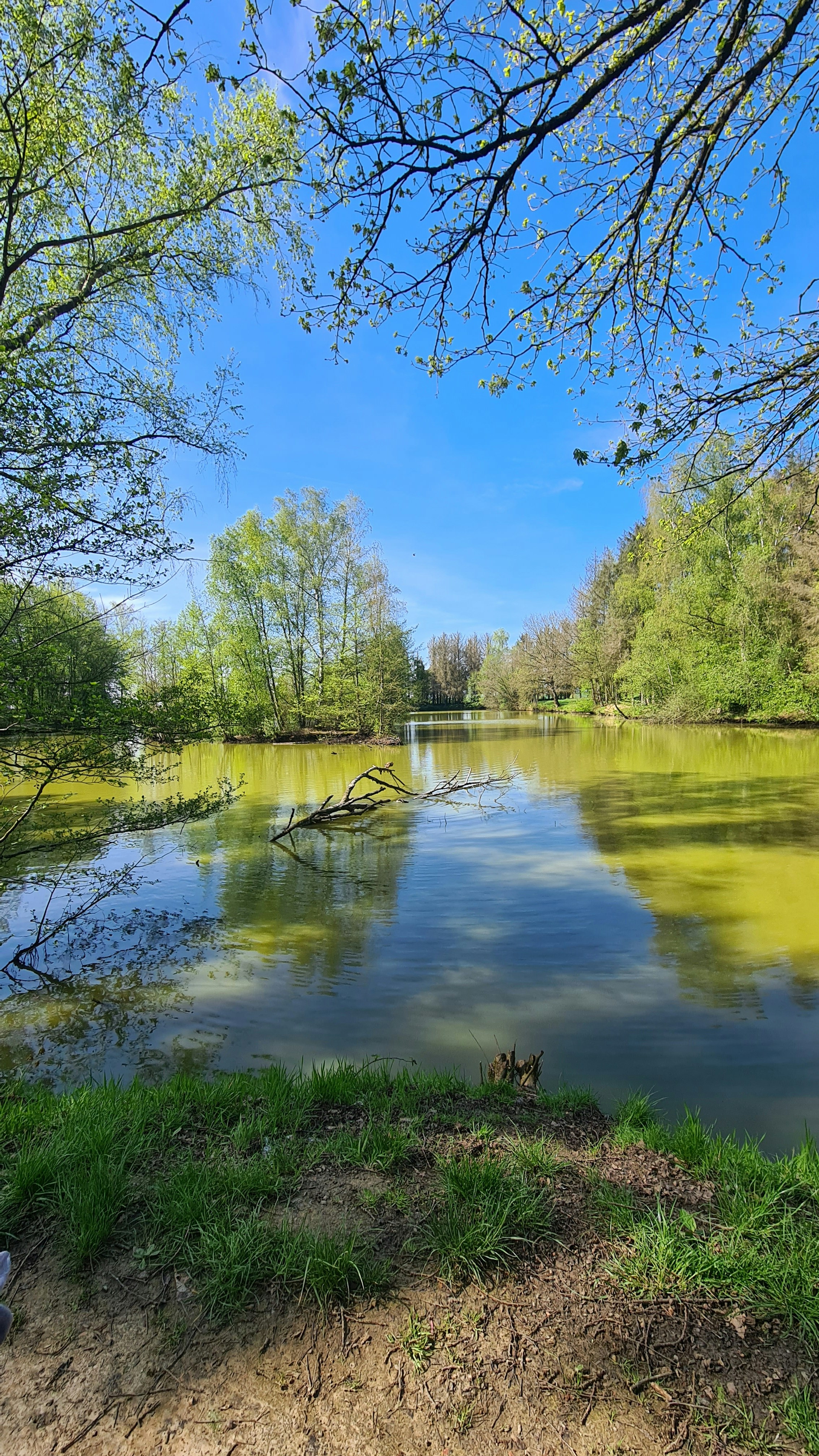 Photo by xd_studio_creation