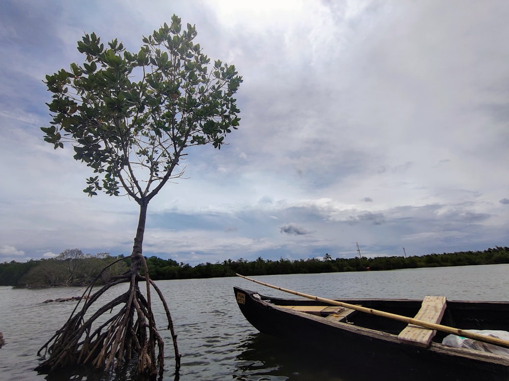 a small boat floating on top of a lake next to a tree