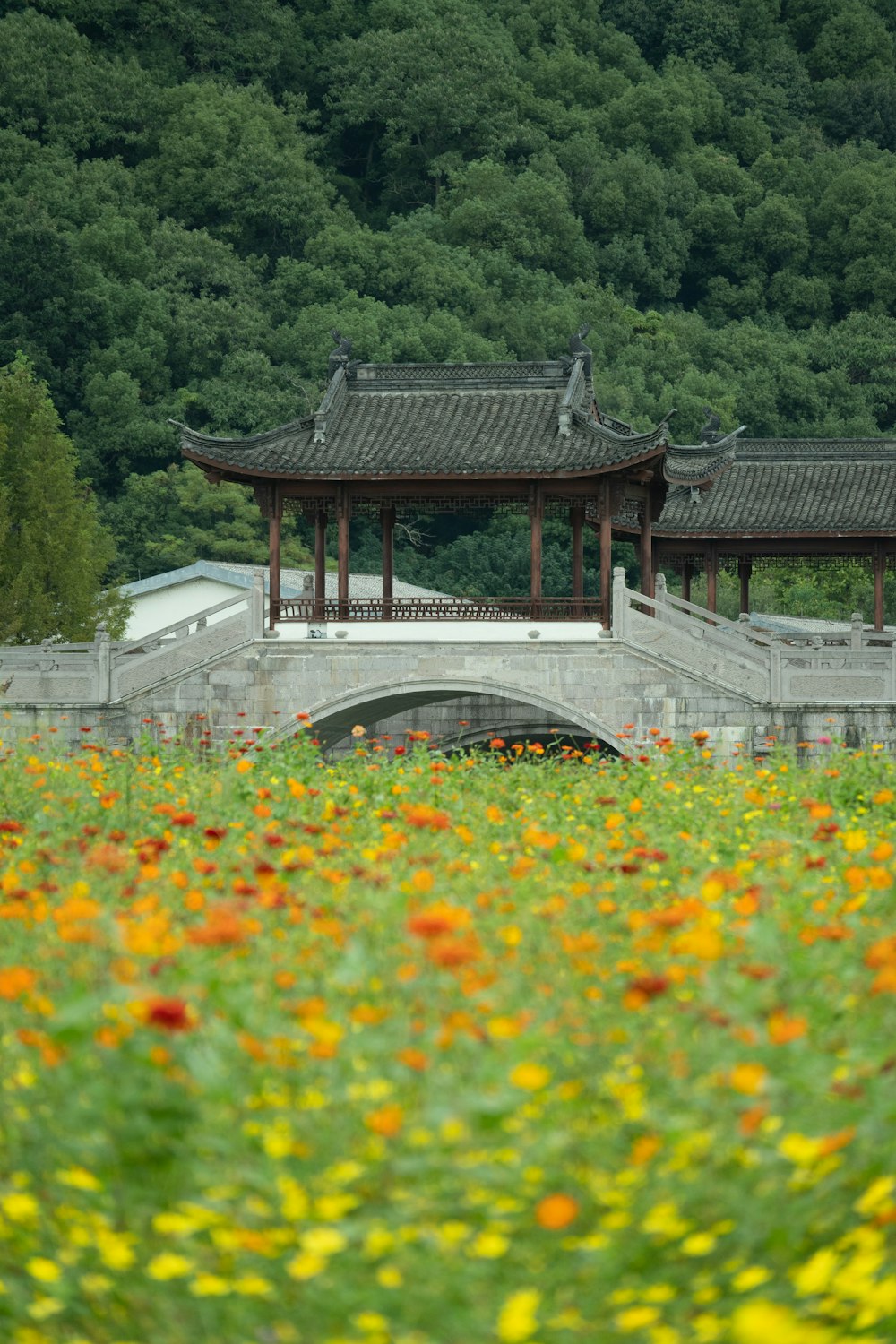a field of flowers and a bridge in the background