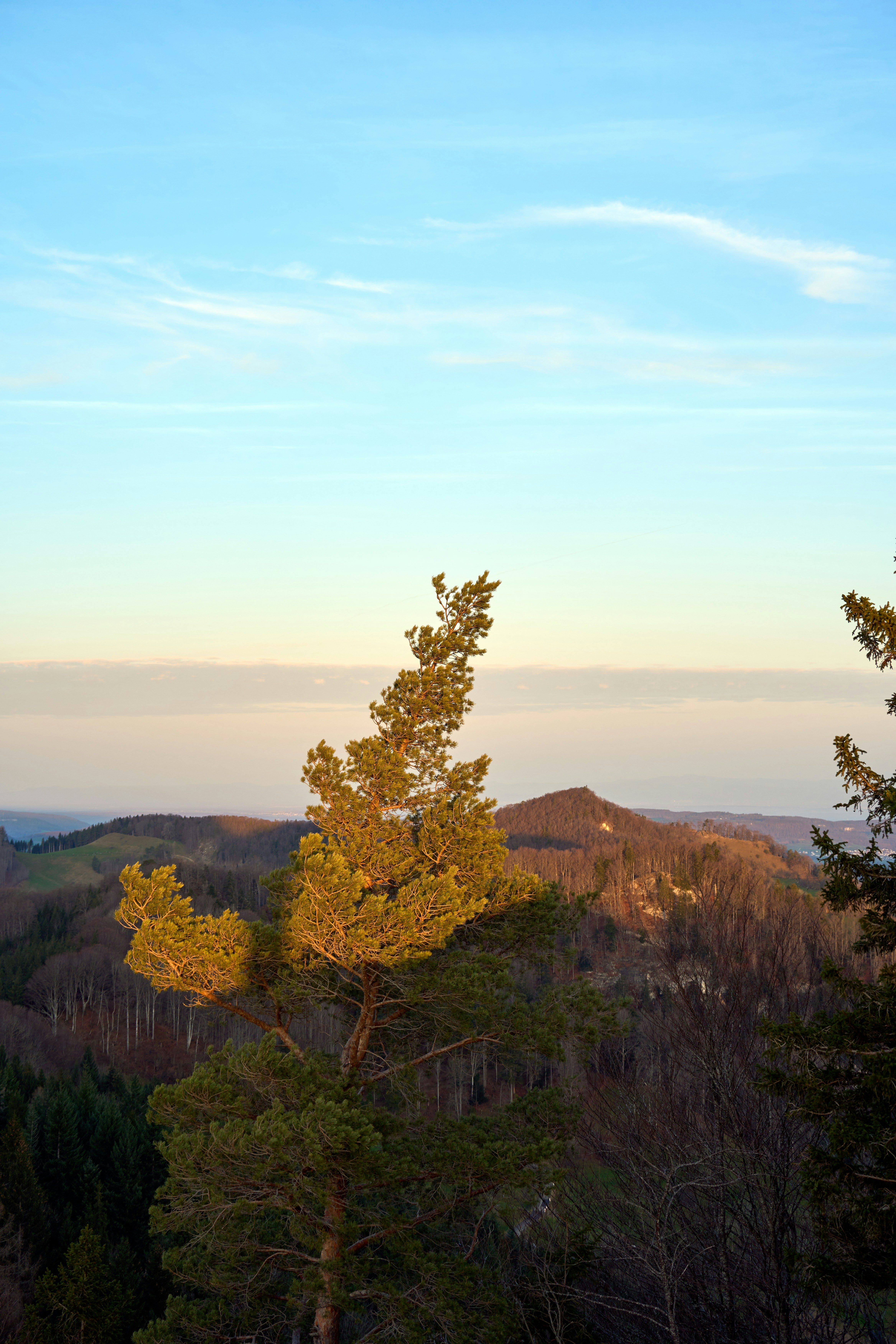 Photo by wolfgang_hasselmann