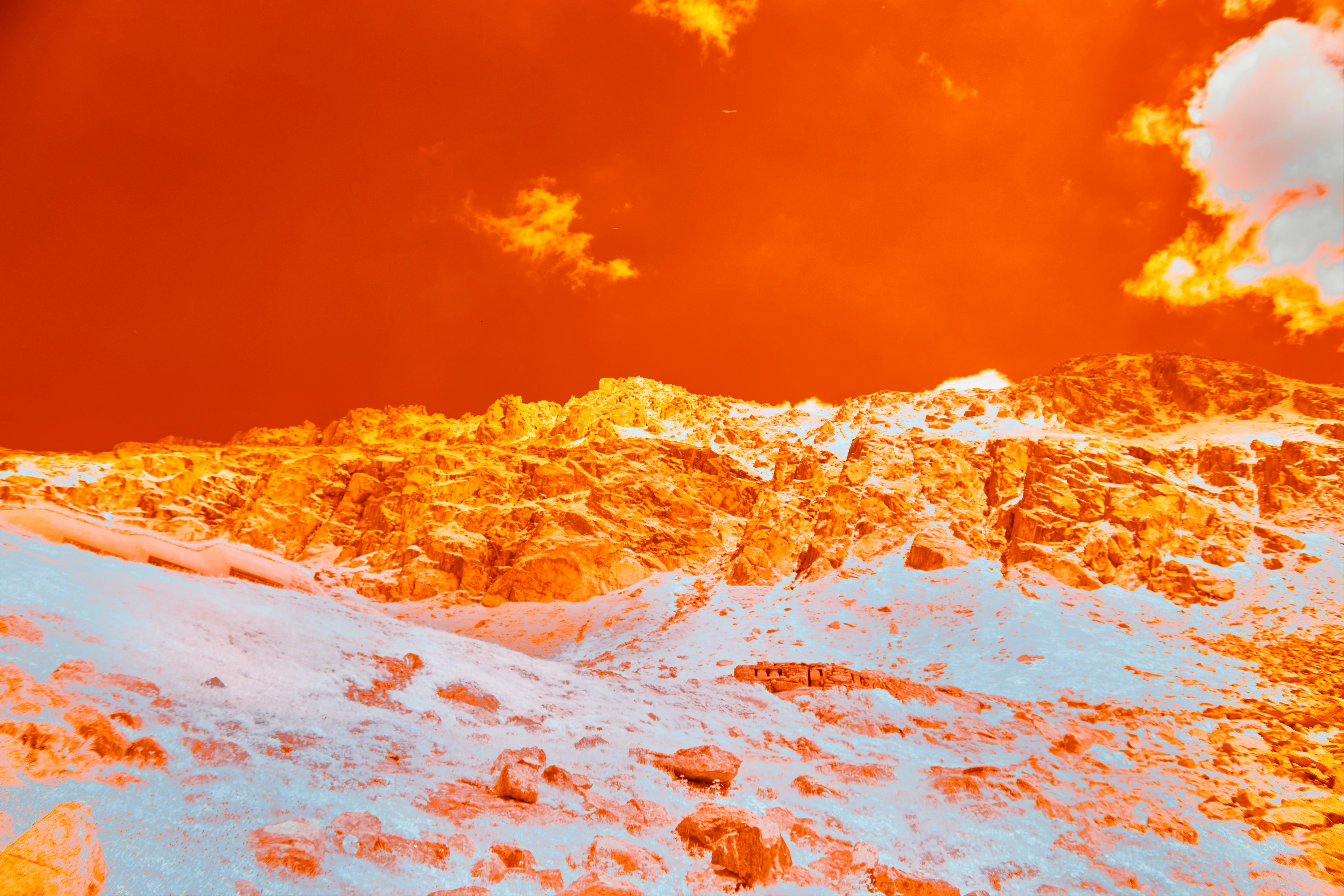 Photo by wolfgang_hasselmann