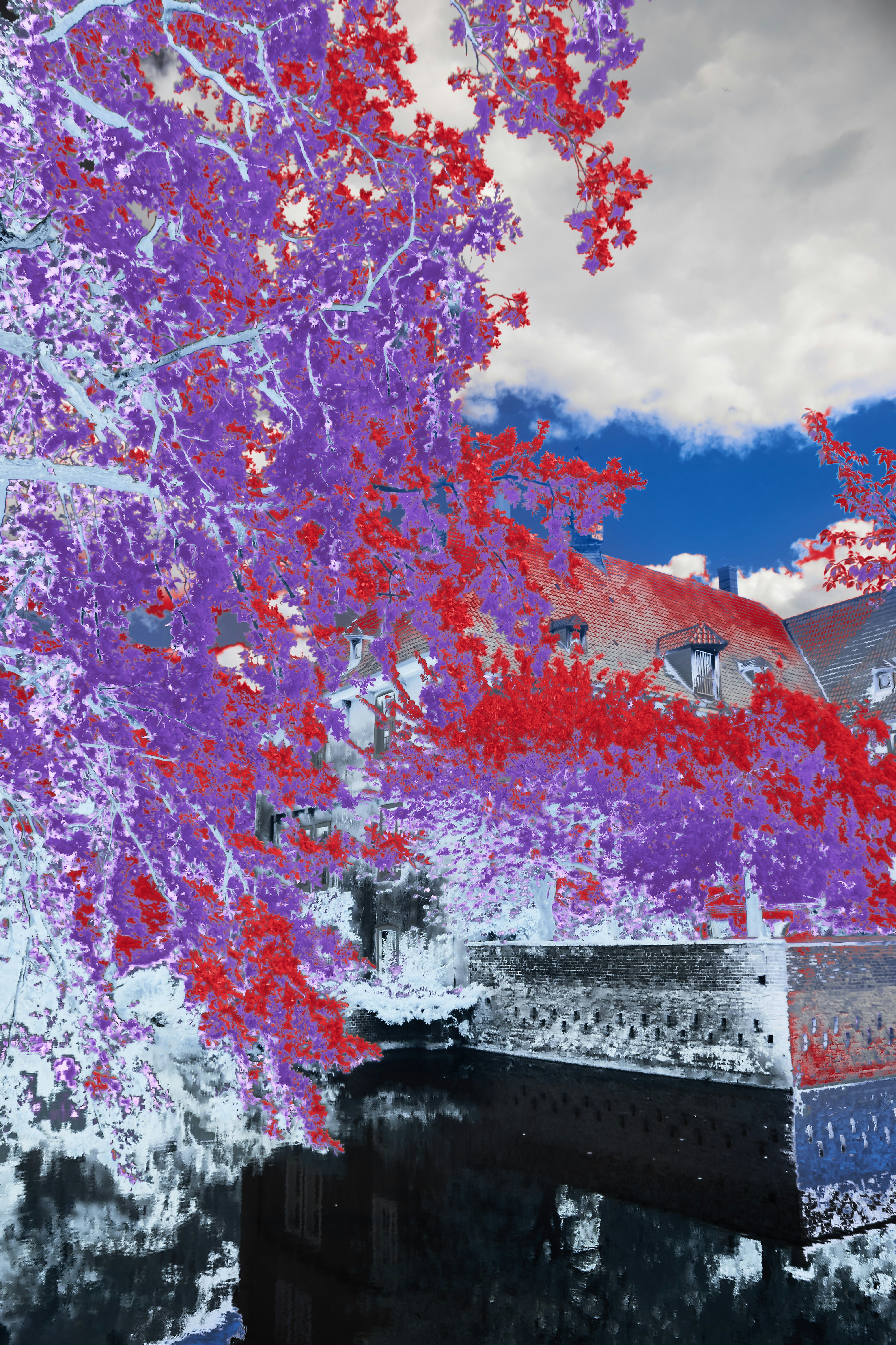 AI in Predictive Testing: Forecasting Quality with Precision in 2025