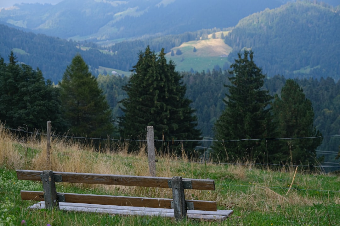 a wooden bench sitting on top of a lush green hillside, Serene mountain view: an invitation to introspective tranquility
