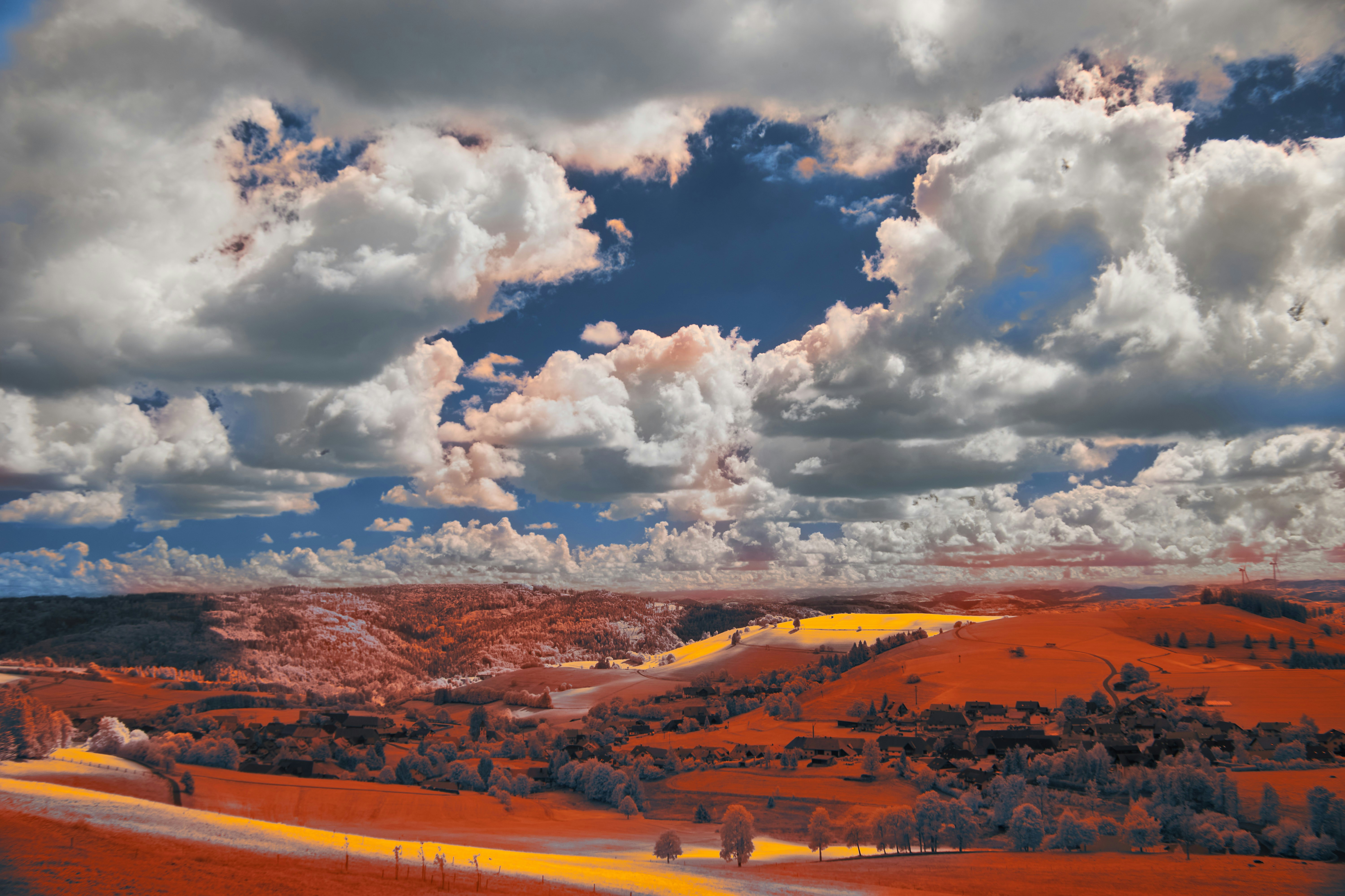 Photo by wolfgang_hasselmann