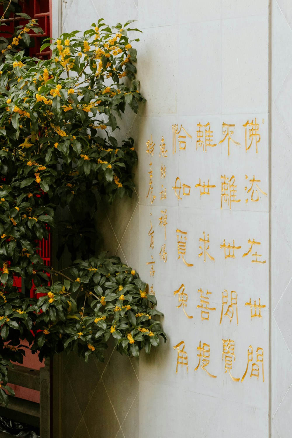 a white wall with yellow writing on it