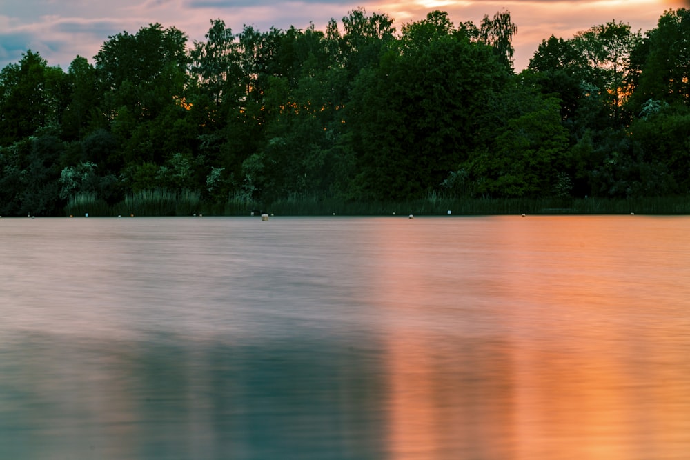 a body of water with trees in the background