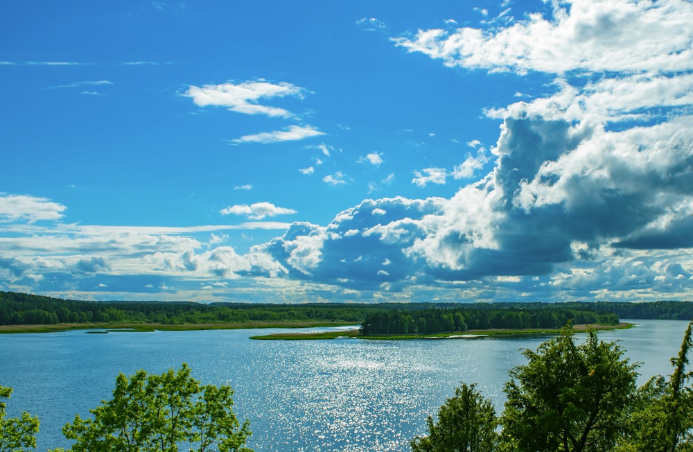 a large body of water surrounded by trees