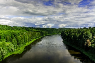A serene river flows between lush, green forests under a dramatic sky filled with clouds. The water reflects the greenery and parts of the sky, creating a harmonious blend of natural elements.