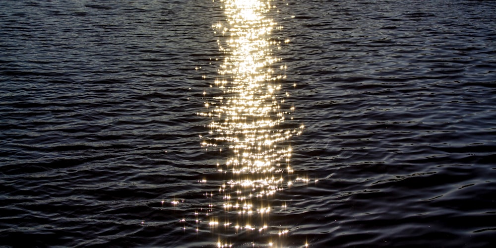 a long line of light reflecting off the water