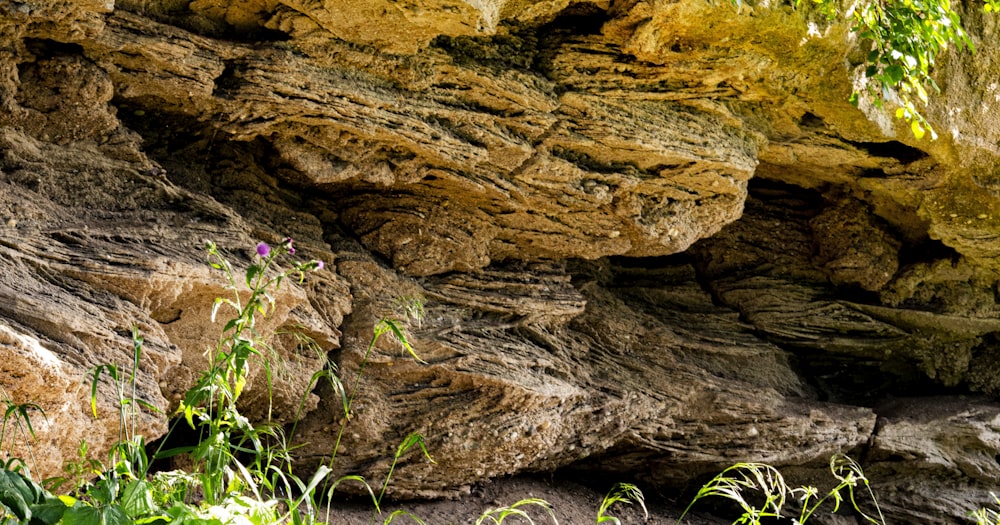 a large rock formation with plants growing out of it