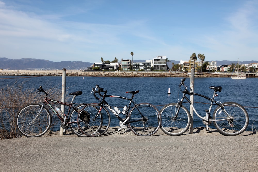 a row of bikes parked next to a body of water