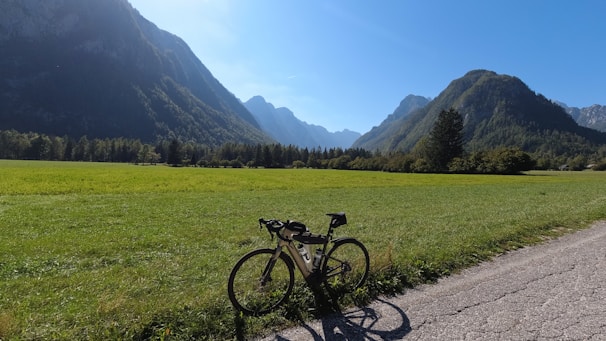 A mountain bike parked beside a blooming wildflower meadow under a clear blue sky.
