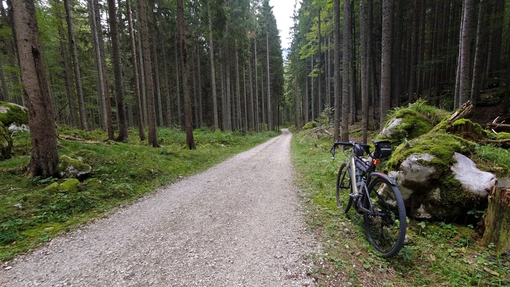 uma bicicleta estacionada na beira de uma estrada de terra