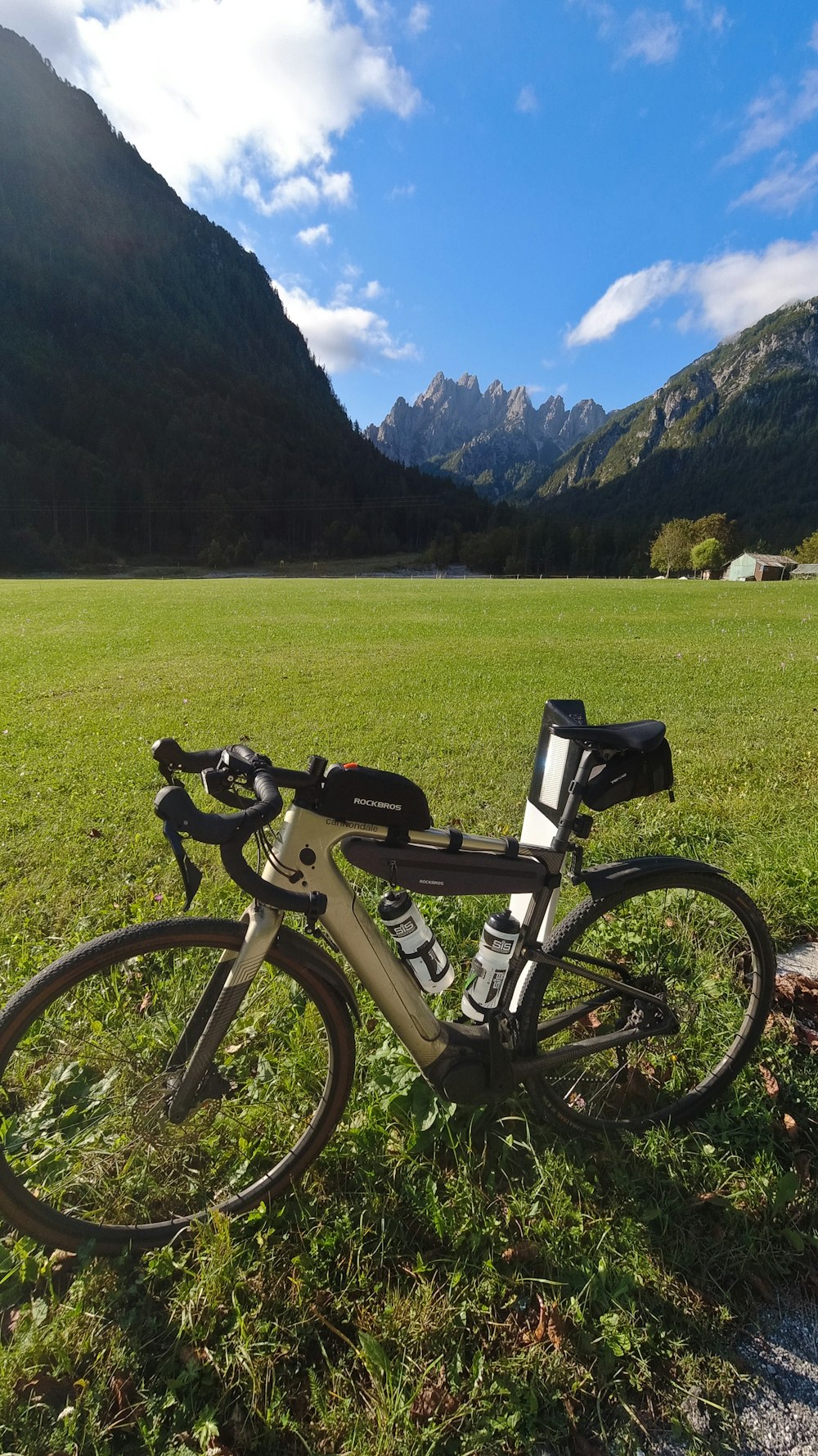 a bicycle parked in the grass in front of a mountain