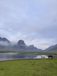 A serene Andean landscape with a horse and a shaman performing a ritual at sunrise.