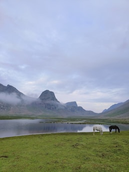 A serene Andean landscape with a horse and a shaman performing a ritual at sunrise.
