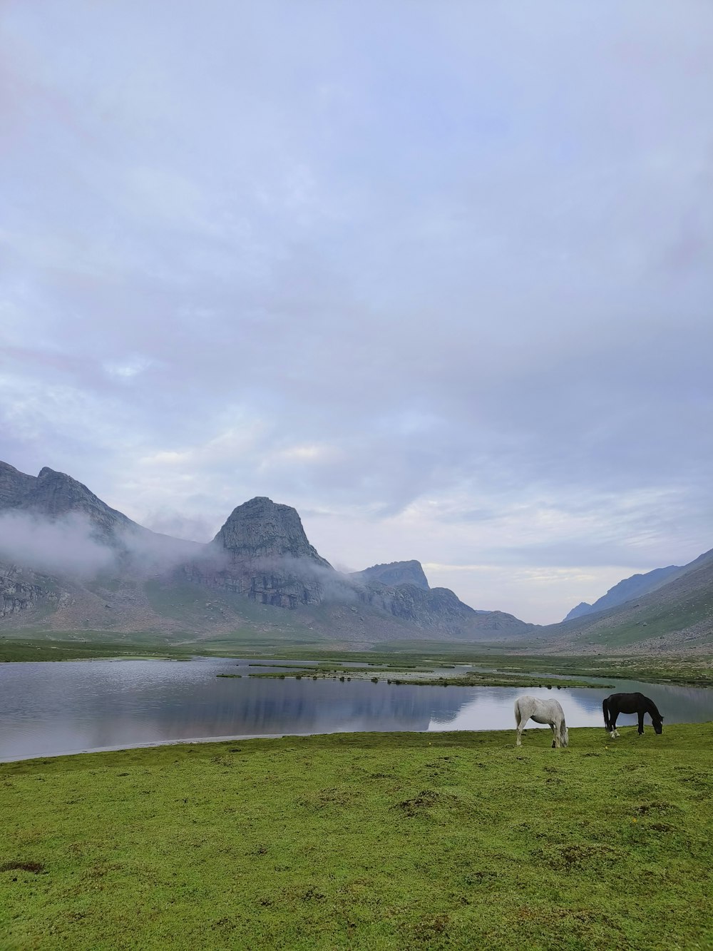 two horses grazing in a field next to a lake