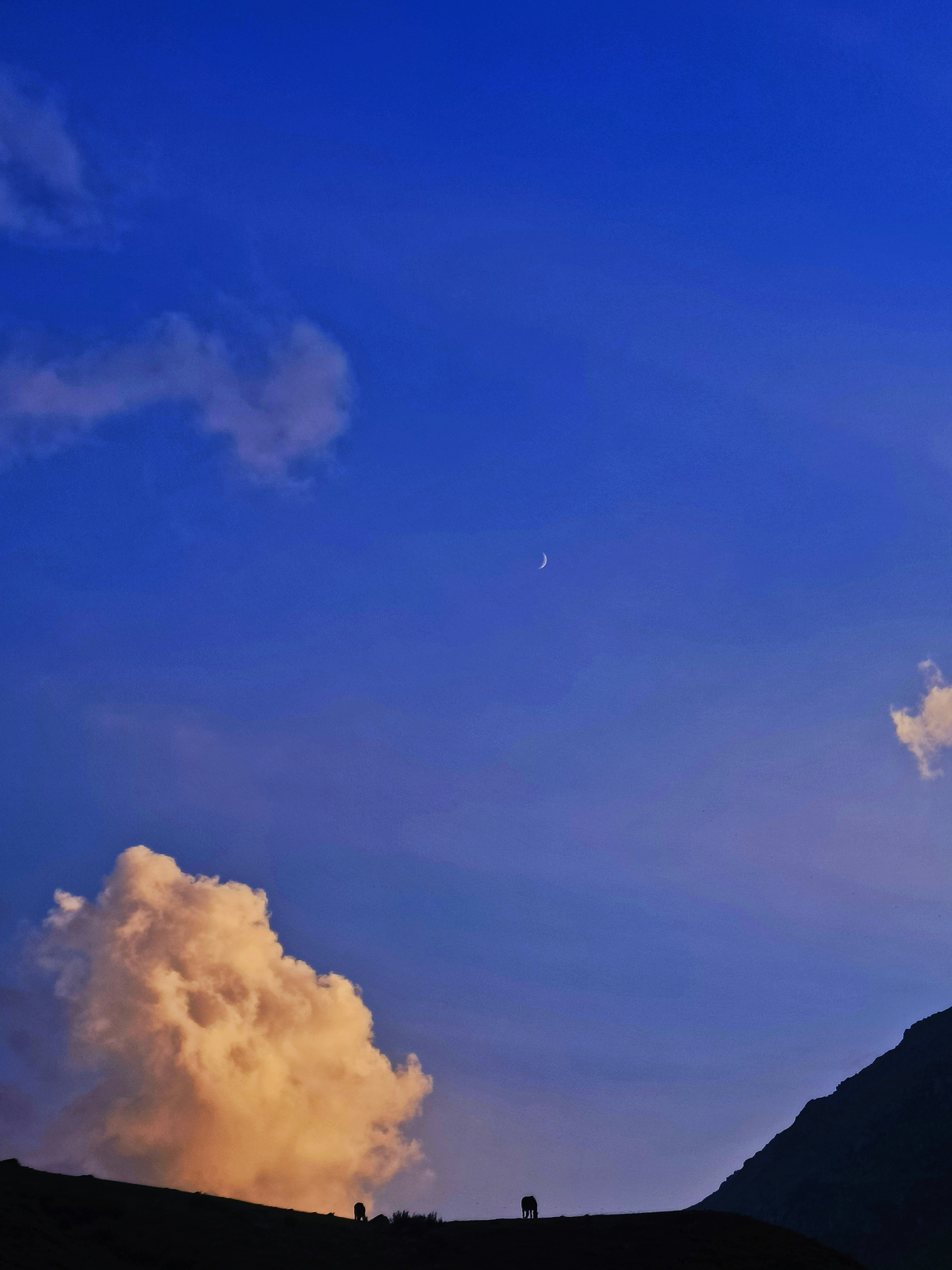 Photo by _kavya_p_k_