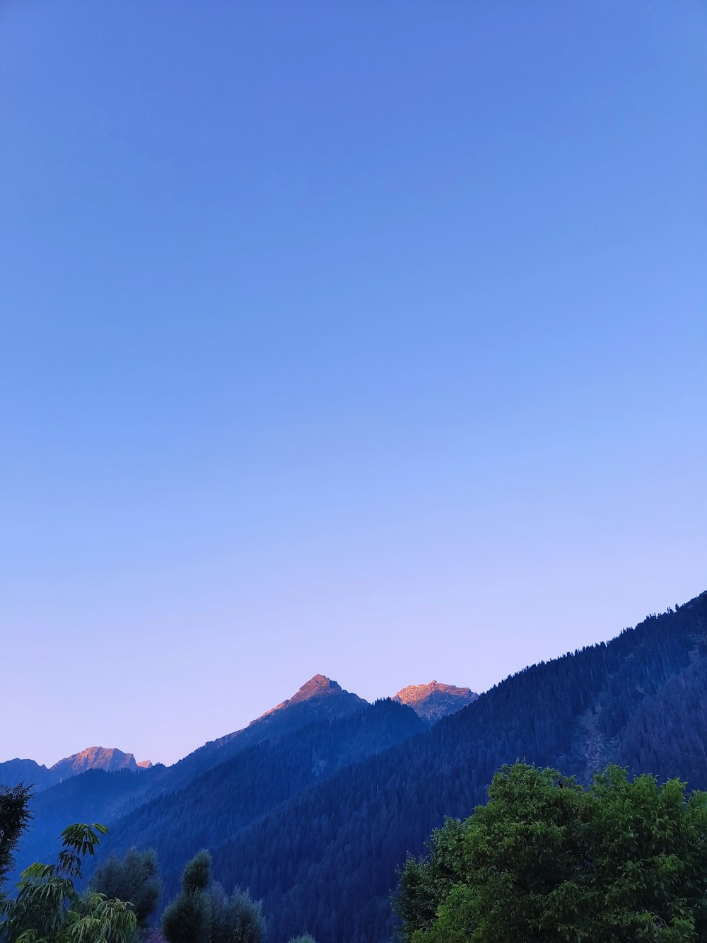 a view of a mountain range with trees in the foreground