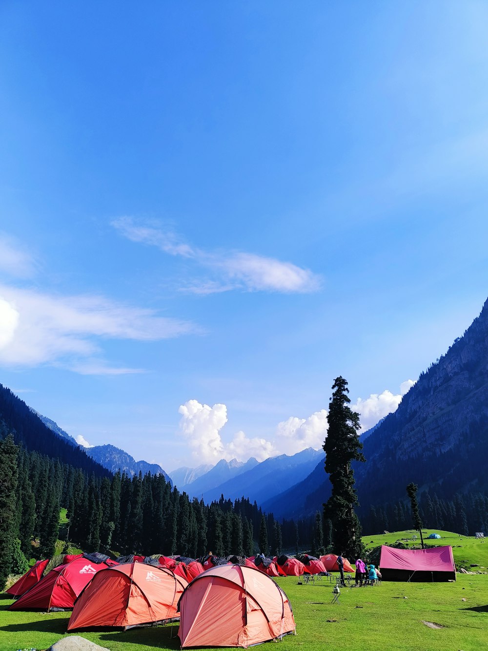 a group of tents set up in a field with mountains in the background