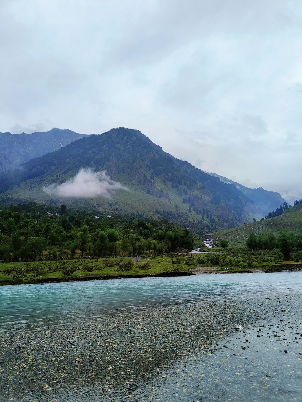 a river running through a lush green valley