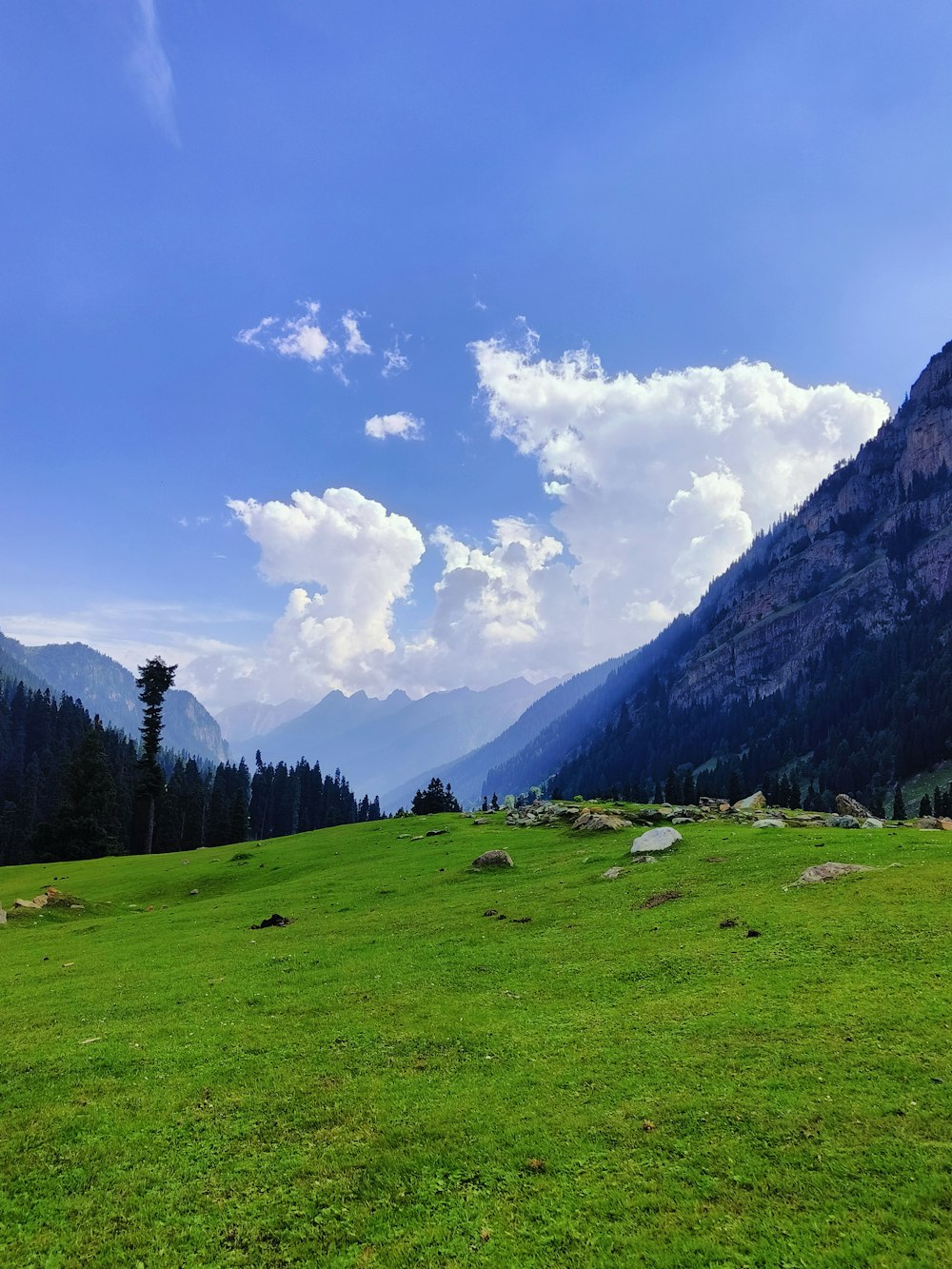 a grassy field with mountains in the background